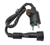 Bobina D'accensione Gruppo Bobina Accensione Per Adly Per ATV 280 320 400 Per Hurricane 300 Per Sport Per Crossover Per Boost 30500-272-000