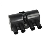Bobina d'accensione MAGNETI MARELLI 060717089012 per EVANDA 2 2005-2006