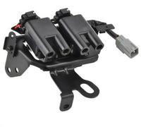 Bobina D'Accensione Modulo Hyundai Matrix 1.8/Elantra 2.0/Tucson 2.0 / Kia