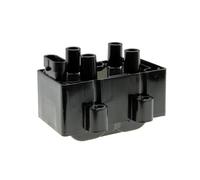 Bobina D'Accensione Modulo, Renault Clio / Kangoo/Logan/Megane Nuovo