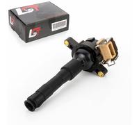 Bobina D'Accensione Modulo Unità Accensione per BMW 320i 323i 325i 325xi 328i