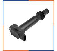 NTY Bobina d'accensione compatibile con PEUGEOT ECZ-PE-010