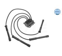 Bobina d'accensione per DACIA NISSAN RENAULT CLIO KANGOO KUBISTAR LOGAN LOGAN MC