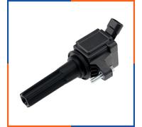 NTY Bobina d'accensione ECZ-CH-034 per Saab 9-7x 4.2, Hummer H3 3.7, Isuzu Ascender - 12612369