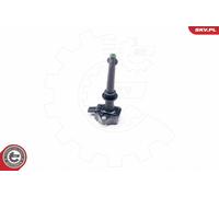 Bobina d'accensione per JAGUAR LAND ROVER DISCOVERY RANGE ROVER RANGE ROVER SPOR