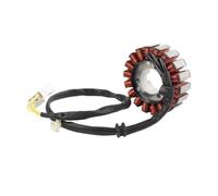 Bobina Del Generatore Dello Statore Motore Magnete Della Motocicletta In Rame Per FES125 FES150 S-WING SH125 SH150 PS125 PS150 Statore Magnete Piastra Bobina