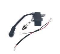 Bobina del modulo di accensione compatibile con 2775 2900 2750 3050 2500 PP255 PP295 2600 PP310 PP315 PP4620 PP4620AVX Misura universale