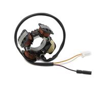 Bobina dell'alternatore Compatibile Con Suzuki Per Indirizzo Per AD50 Per AG50 Per AH50 1995-1999 Moto Generatore Magneto Statore Bobina 32101-29C03