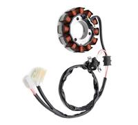 Bobina dell'alternatore Compatibile Con Yamaha Per CZD250 Per XMAX250 2018-2024 Per CZD300 Per EVOLIS 300 2017 Moto Magneto Statore Bobina