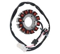 Bobina dell'alternatore Compatibile Con Yamaha Per CZD300 Per XMAX300 2017-2020 Per Tech Per Max 2020 Generatore Di Bobina Statore Per Moto OEM B74-H1410-00