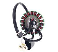 Bobina dell'alternatore Compatibile Con YAMAHA Per YP250R Per X-MAX 2007-2011 Per VP250 Per X-City 2007-2012 Bobina Statore Generatore Moto