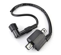 Bobina Dello Motociclo Accessori Bobina Accensione Per Per YFM80 YFA-1 Per Badger YFM250 Per Bear Per Tracker Per Bruin 250 2X4 1992-2006 33410-09411 33410-09412
