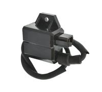 Bobina Dello Motociclo Accessori CDI UNITÀ ASSEMBLAGGIO BOBINA ACCENSIONE Per SUZUKI Per LT80 LT 80 Per QUADSPORT 1987 1988 1989 1990 1991 1992 1993 1994 1995-2001 ATV