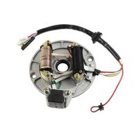 Bobina Dello Motociclo Accessori Piastra Statore Magnete Accensione 2Coil Per 50cc 70cc 90cc 110cc 125cc Per XR50 SSR 107 110 125 Cc ATV Quad Dirt Bike