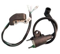 Bobina Dello Statore 2 Pz/set ET950 ET650 IE45F TG950 Con Bobina Accensione Magnete Accenditore Per Generatore Per TIGER 450W 650W 800W 950W 1000W 2 Tempi Bobine Accensione