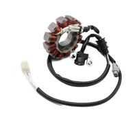 Bobina Dello Statore Bobina Dello Statore Del Magnete Del Motociclo 33D-81410-00 Per YZ450 Per YZ450F 2010 2011 2012 2013