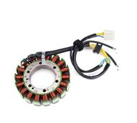 Bobina Dello Statore Bobina Statore Moto Per Kawasaki Per ZX-9R Per ZX9R Per Ninja Per ZX900 2000-2003 Generatore Magneto 21003-1397