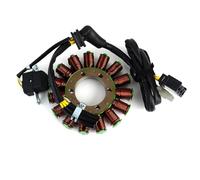 Bobina Dello Statore Compatibile Con CBR1000RR Per Fireblade 2010 2011 2012 2013 Bobina Statore Magnete Generatore Motore Accessori Di Ricambio 31120-MFL-D21