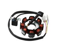 Bobina Dello Statore Compatibile Con Kymco Per Like 125 2010-2015 Per Like 125 LX 2014-2015 Per Agility 150 2008-2010 Cavi Bobina Moto Statore Magnete 31120-LFC3-E10