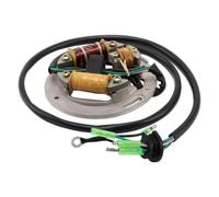 Bobina Dello Statore Compatibile Con SUPER JET 700 1996 1997 1998 1999 2000 Bobina Statore Magnete Moto Accessori Motore Generatore Sostituzione 6R7-85560-10-00