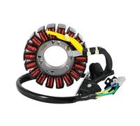 Bobina dello statore del generatore di accensione per motocicletta per Suzuki ATV LTF160 LT-F160 QuadRunner 160 LT160