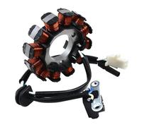 Bobina dello statore del generatore for motocicletta for CBF125 CBF 125 2008 2009 2010 2012 2013 2014 2015