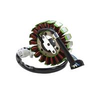 Bobina dello statore del generatore for motocicletta for TTR250 TT-R250 1999-2006 TT250R TT-R RAID