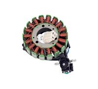 Bobina dello statore del generatore for motocicletta for YS250 YBR250 YS YBR 250