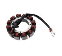 Bobina dello statore del generatore magnete per moto compatibile con i modelli Touring FLT FLH 2002 2003 2004 2005
