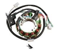Bobina dello statore del generatore magnetico per motocicletta compatibile con XT500 55A XT500T 3BJ1 XT500T 3BJ2 XT600L XT600LC XT600N XT600NC