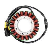 Bobina Dello Statore Del Generatore Per Motocicletta Per F650GS F700GS F800GS F800GT F800ST F800R F800S Motore Della Bicicletta Statore Magnete Piastra Bobina