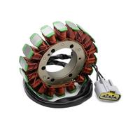 Bobina Dello Statore Del Generatore Per Motocicletta T1300450 Per Rocket III 2300 Touring Classic Roadster 2006 2007 2008 2009 2010-2018 Statore Ricarica