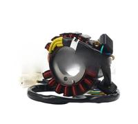 Bobina dello statore del Magnete per Moto, Gruppo Bobina dello statore del generatore Magnetico per Hyosung GV250 2012 2013 2014 2015 GT250 GT250R GTR250 2010-2018 32101H98600