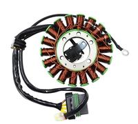 Bobina dello statore del motociclo compatibile con la sostituzione delle parti elettriche del motore forestale Crew 500 Carb EFI 500 X2 HO