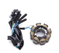 Bobina dello statore del motore del generatore magneto per CRF450R 2002-2003