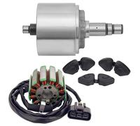Bobina dello statore in gomma del rotore del cilindro magnetico del motore della motocicletta adatta per YAMAHA FZ8 FZ8N Fazer 800 FZ8S FZ1 FZ1S YZF(1 Set)