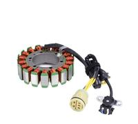 Bobina dello statore Magnetico per AP0295830 SL1000 Falco 2000-2003 RSV1000 per Tuono 2002-2005 RSV 1000 Mille R 1998-2003 Bobina dello statore del generatore