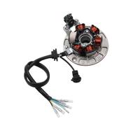 Bobina Dello Statore Magnetico Per YINXIANG YX 140cc 1P56FMJ W063 Motore BSE SDG SSR Dirt Pit Bike Moto Accensione Magneto Statore Volano(1 Piece Stator)