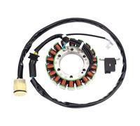 Bobina Dello Statore Moto Generatore Statore Bobina Kit Di Montaggio Per TRX450S 98-01 Per TRX450ES 98-01 Per TRX400FW 95-03 Per Foreman 31120-HM7-014