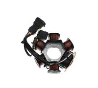 Bobina Dello Statore Moto Per PIAGGIO Per VISPA 50 LX Per PIAGGIO 50 Per 50 2T Motore Generatore Statore Bobina Di Avvolgimento Del Motore
