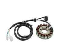 Bobina Dello Statore Moto Statore Bobina Per XV125 Per XV250 Per Virago 125 250 Per XTZ660 Per Tenere Per SRV250 Per XT600 Per XT600E
