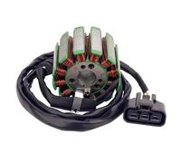 Bobina Dello Statore Per Moto, Rotore Del Volano, Guarnizione Dello Statore Del Magnete In Gomma Per Yamaha YZFR1 2004-2008 FZ8 FZ8N FZ8S(Type D)