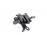 Bobina di accensione MAGNETI MARELLI 060717155012