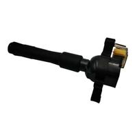 Bobina di Accensione 12131703825 Compatibile Con BMW E36 E46 E39 | Adatto per M52 M54 V8 4.4L V12; Sostituzione diretta Bobina a matita per Bremi 3 poli
