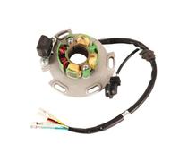Bobina Di Accensione 12V Moto LF Per Lifan 150cc 8 Bobine Statore E Magneto Alloggiamento Per Motore Orizzontale Da Corsa Rotore Per Dirt Pit Monkey Bike 140