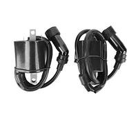 Bobina di accensione, 2 Pezzi, Bobine di accensione, Gruppo Bobina di accensione Adatto per Yamaha Xvs1100 V-Star 1999-2009 5El-82320-00-00, Bobina di accensione del Motore dell'auto