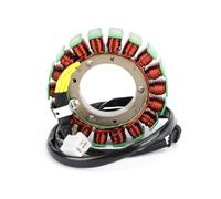 Bobina di accensione 21003-1384 Bobina Statore Magnete Per Motocicletta Motore Per Kawasaki EJ400 W400 Per Special Edition