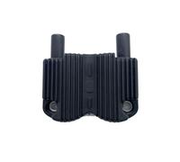Bobina di Accensione 31743-01 Compatibile Con Twin Cam 3362