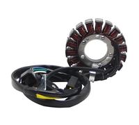 Bobina Di Accensione 32800-29F00 Kit Raddrizzatore Bobina Statore Per Suzuki Per DRZ 400 400E 400S 400SM DRZ400 DRZ400E DRZ400S DRZ400SM 32101-29F00