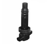JP Group Bobina d'accensione 3591600800 Modulo per Hyundai i30 Familiare, Kia pro Cee'D, Anima